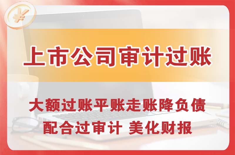 盘龙上市公司审计过账
