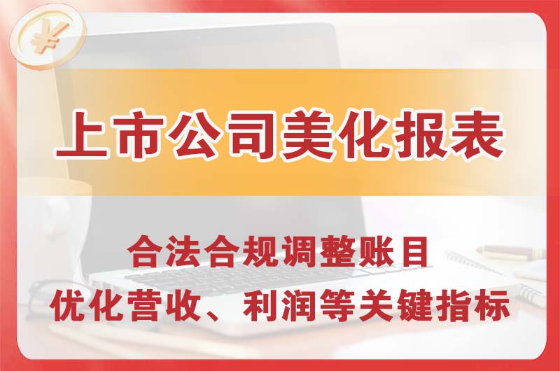 盘龙上市公司美化报表